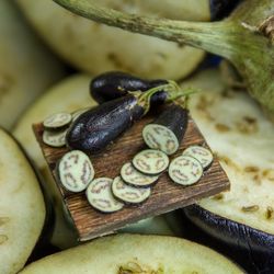 tutorial miniature eggplant with polymer clay | miniature food tutorial | dollhouse miniature