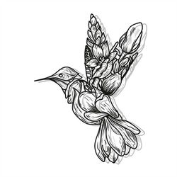 colibri svg, colibri png print, colibri png file, print file, printing colibri on t-shirts, digital prints, vector colib