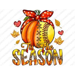 tis the season png, softball png, fall softball png,softball pumpkin png,softball sublimation design,fall sublimation de