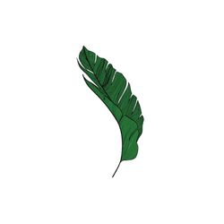 jungle leaves svg, leaf svg,tropical leaves svg , silhouette, cut files circut cutting file ,tropical leaf, palm leaves