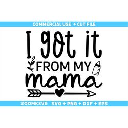 i got it from my mama svg, baby sayings svg, baby shower svg, baby svg, funny baby svg, new baby svg, new mom svg, newbo