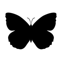 butterfly svg, png, jpg files. butterfly silhouette. butterfly. digital download.