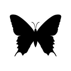 butterfly svg, png, jpg files. butterfly silhouette. butterfly. digital download.