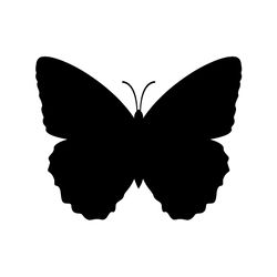 butterfly svg, png, jpg files. butterfly silhouette. butterfly. digital download.