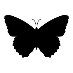 butterfly svg, png, jpg files. butterfly silhouette. butterfly. digital download.