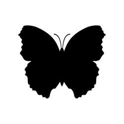 butterfly svg, png, jpg files. butterfly silhouette. butterfly. digital download.