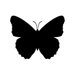 butterfly svg, png, jpg files. butterfly silhouette. butterfly. digital download.