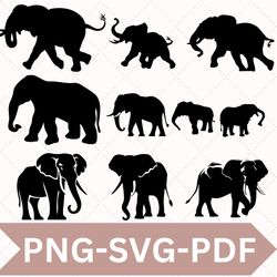 elephant svg bundle, elephant svg, elephant clipart, elephant files for cricut, elephant silhouette, elephant vector