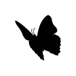 butterfly svg, png, jpg files. butterfly silhouette. butterfly. digital download.