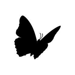 butterfly svg, png, jpg files. butterfly silhouette. butterfly. digital download.