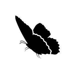 butterfly svg, png, jpg files. butterfly silhouette. butterfly. digital download.