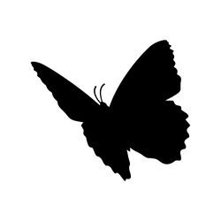 butterfly svg, png, jpg files. butterfly silhouette. butterfly. digital download.