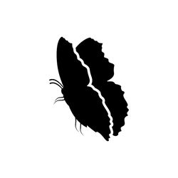 butterfly svg, png, jpg files. butterfly silhouette. butterfly. digital download.