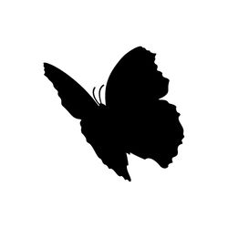 butterfly svg, png, jpg files. butterfly silhouette. butterfly. digital download.