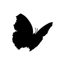 butterfly svg, png, jpg files. butterfly silhouette. butterfly. digital download.