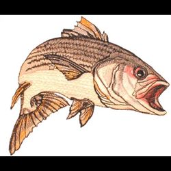 striped bass fish embroidery design, embroidery design, embroidered shirt, animal embroidery, digital download.