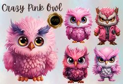 crazy owl clipart,  owl clipart, owl png, crazy funny owl, cute owl,pink owl