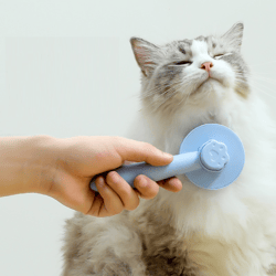 cat comb floating hair comb dog hair removal cat petting cleaning long hair special pet cat supplies
