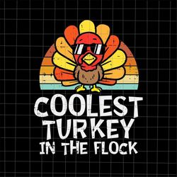 coolest turkey in the flock svg, cutest turkeys svg, coolest turkey svg, thanksgiving 2021 svg, turkey thanksgiving svg