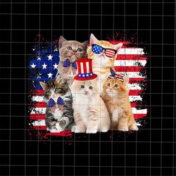 cat patriotic day usa png, cat 4th of july png, american cat flag png, 4th of july png, fourth of july png