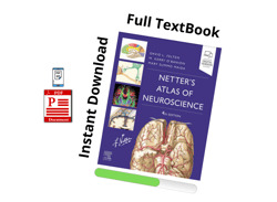 full pdf - netter's atlas of neuroscience netter basic science 4th edition - instant download