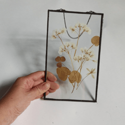 painting in glass, herbarium, herbarium in glass, wall panel, panel, painting, wildflowers