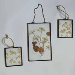 set of three herbariums, painting in glass, herbarium, herbarium in glass, wall panel, panel, painting, wildflowers