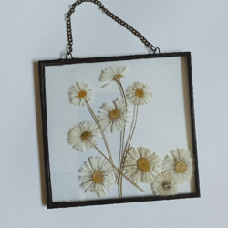 painting in glass, herbarium, herbarium in glass, wall panel, painting, wildflowers, painting with flowers, daisy