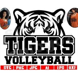 tigers softball svg tiger softball svg tigers softball png tigers mascot svg tigers svg tiger svg tigers school svg tige