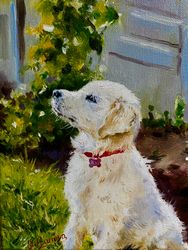 oil painting on canvas "sunny puppy"