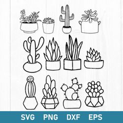 cactus bundle svg, cactus svg, cactus cricut svg, succulent svg, png dxf eps file