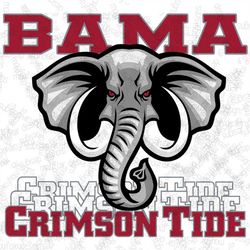 bama football design