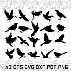 bird svg, birds svg, animal svg, animals, nature, svg, ai, pdf, eps, svg, dxf, png