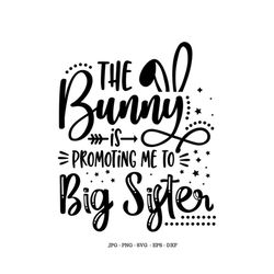 new big sister, big sister svg, new born baby gift, baby sister gift, gift for new sister, sister png