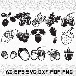 acorn svg,  acorns svg, fruit svg, tree, fruits, svg, ai, pdf, eps, svg, dxf, png