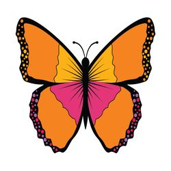 butterfly svg, png, jpg files. butterfly. digital download.