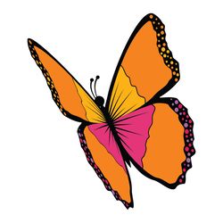 butterfly svg, png, jpg files. butterfly. digital download.