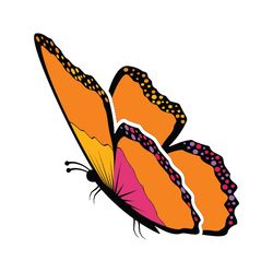 butterfly svg, png, jpg files. butterfly. digital download.