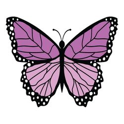 butterfly svg, png, jpg files. butterfly. digital download.