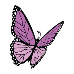 butterfly svg, png, jpg files. butterfly. digital download.