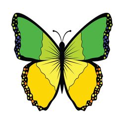 butterfly svg, png, jpg files. butterfly. digital download.