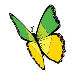 butterfly svg, png, jpg files. butterfly. digital download.