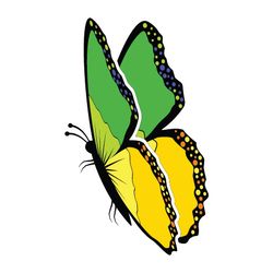 butterfly svg, png, jpg files. butterfly. digital download.