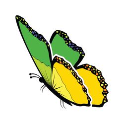 butterfly svg, png, jpg files. butterfly. digital download.