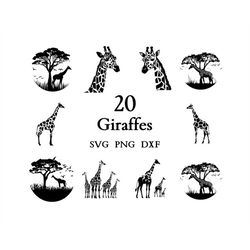 Giraffe Svg Bundle , Perfect Cut Files for Cricut And Laser Engraving , 20 Svg, Png, and Dxf Files Combined in One Bundl