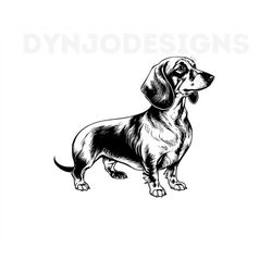 dachshund svg, dachshund clipart, dachshund png, dachshund head, dachshund cut files for cricut , dachshund silhouette,