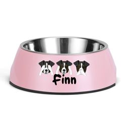 cartoon pet food bowl personalization of a pet