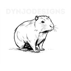 capybara svg, capybara clipart, capybara png, capybara head, capybara cut files for cricut , guinea pig silhouette