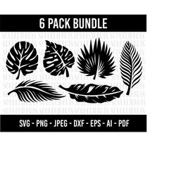 COD455- Monstera cutting file, Monstera SVG Tropical palm leaves Plant tree leaf svg cut files for Cricut Silhouette DXF