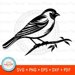 bird svg, bird on a branch, bird gift, bird design, bird vector, bird png, black and white bird, cute bird, bird watcher